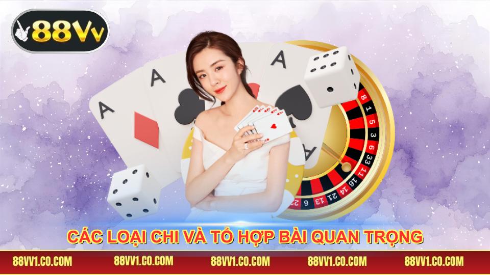 Các loại chi và tổ hợp bài quan trọng
