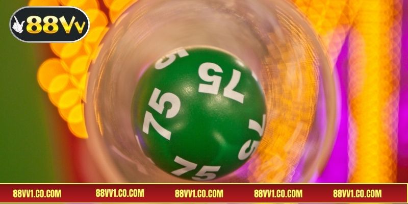 Giải thích thông tin về đề 3 càng là gì