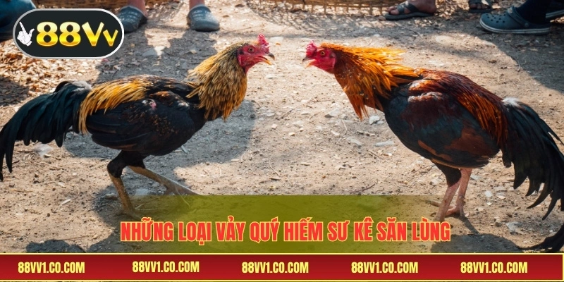 Những loại vảy quý hiếm sư kê săn lùng